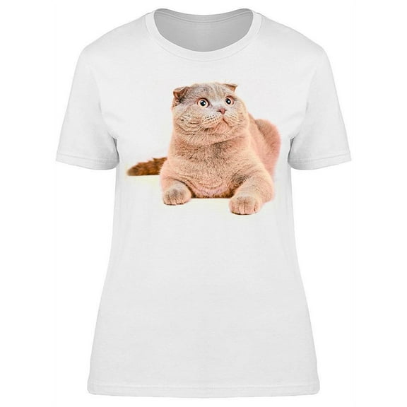 Laid Down Cat Looking Up T-Shirt Women -Image by Shutterstock, Female Small