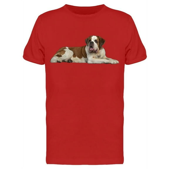 Laid Down St. Bernard T-Shirt Men -Image by Shutterstock, Male Large