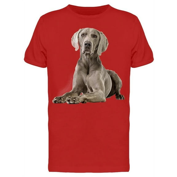 Laid Down Weimaraner Looking T-Shirt Men -Image by Shutterstock, Male 3X-Large