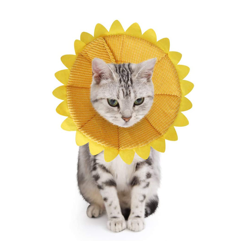 LaidanCat Recovery Collar Post Surgery Cat Cones for Kittens