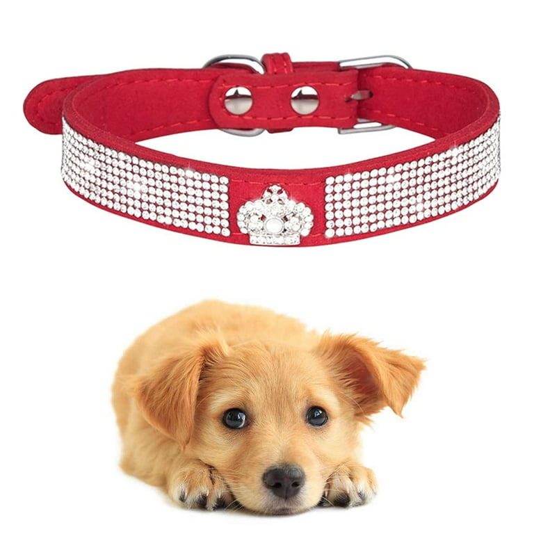 Pink choker hotsell collar dog