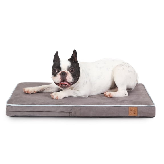 Laifug Orthopedic Memory Foam Dog Bed with Durable Waterproof Liner and Removable Washable Cover