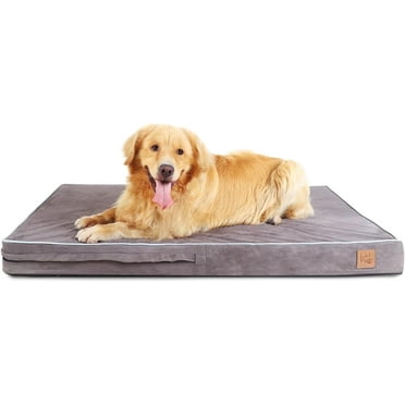 Laifug Orthopedic Memory Foam Pet(54"x 36"x 4",Slate Grey)/Dog Bed with Durable Waterproof Liner and Removable Washable Cover