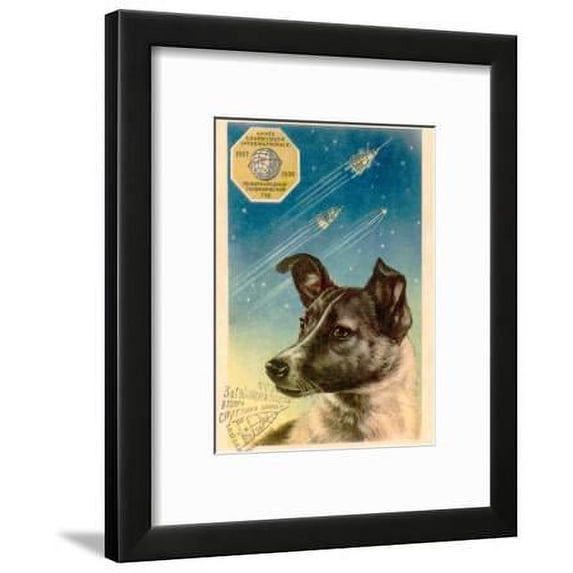 Laika the Space Dog Postcard, Animals Framed Art Print Wall Art by Detlev Van Ravenswaay Sold by Art.Com