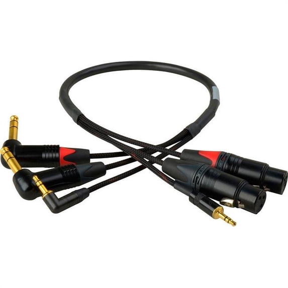 Laird Digital Cinema BMD-RAS-AV-02 Blackmagic 3 CH Snake XLR & 3.5 mm to 0.25 in. & 3.5 mm Right Angle, 2 ft.