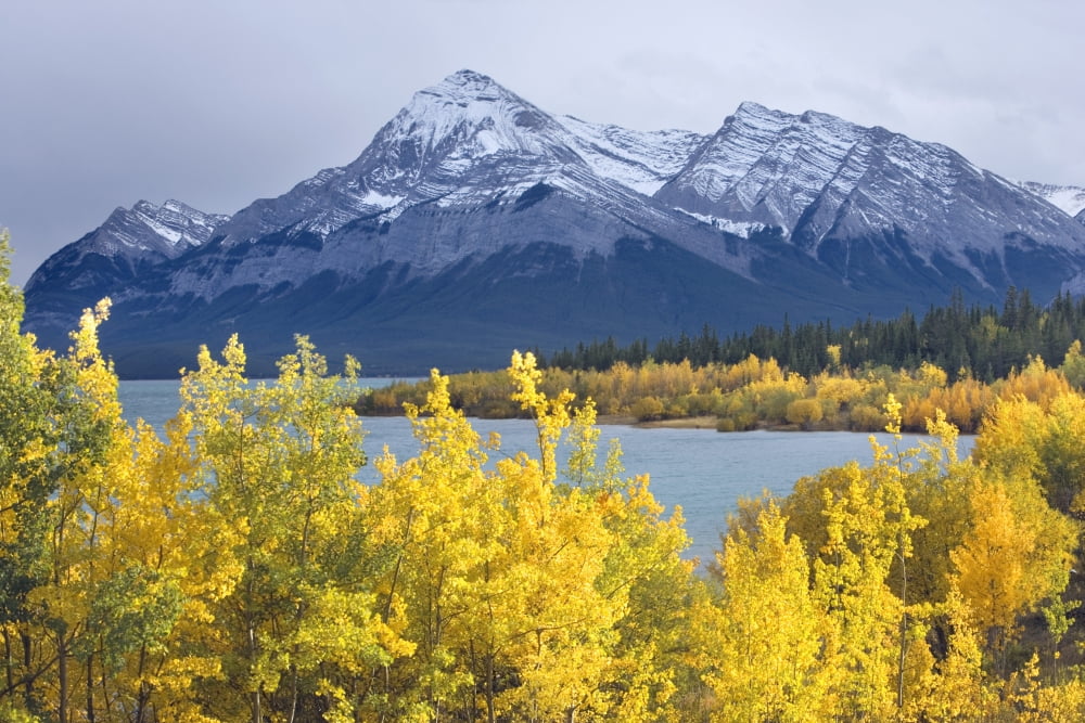 Lake Abraham And Eliot Peak Kootenay Plains Alberta Canada Canvas Art - Darwin Wiggett Design Pics (34 x 22)