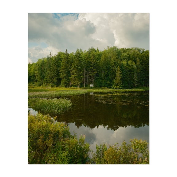 Lake Alma, Averys Place 04 - Averys Place New York Photography Unframed Wall Art Print 8 x 10 inches