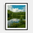 thumbnail image 1 of Lake Alma, Averys Place 07 - Averys Place New York Photography Nature Landscape Forest Scenic Summer Botanical Black Framed Wall Art Print 12 x 16 inches, 1 of 4