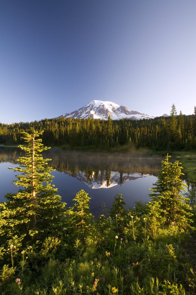 Lake And Mount Rainier Mount Rainier National Park Washington State Usa Canvas Art - Craig Tuttle Design Pics (11 x 17)