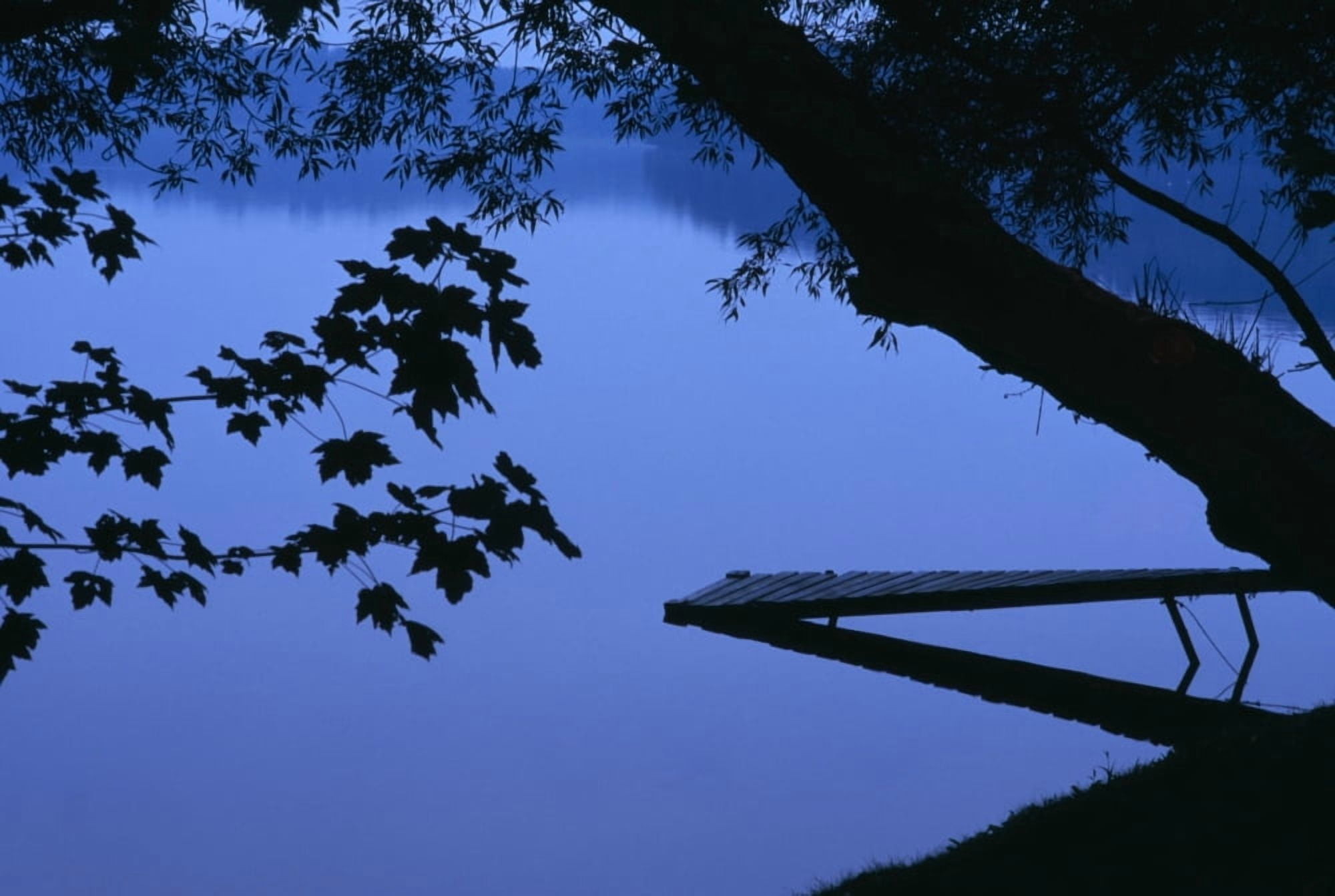 Lake And Trees At Dusk Canvas Art - Natural Selection David Chapman Design Pics (17 x 11)