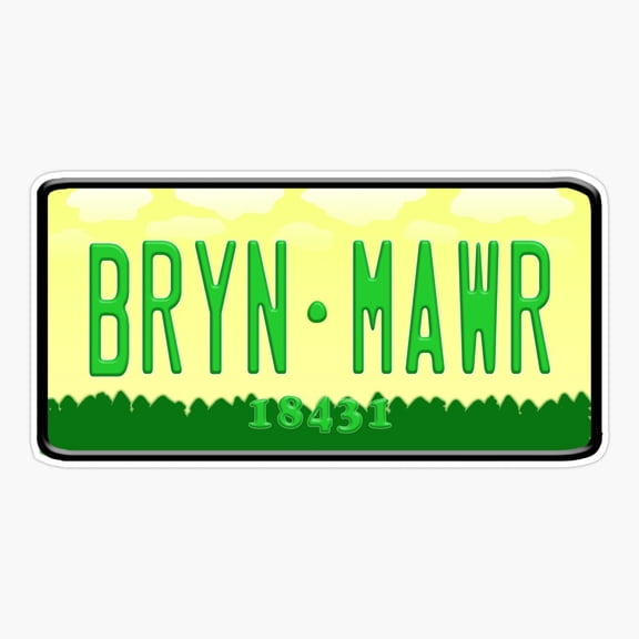 Lake Bryn Mawr Camp License Plate Vinyl Decal Sticker
