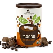 Lake Champlain Chocolates Gourmet Mocha Organic Vegan Hot Chocolate Mix, 16 oz