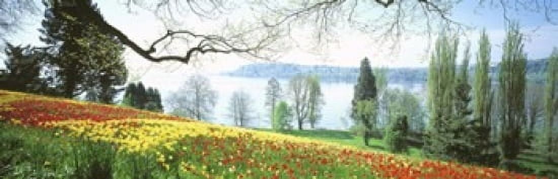 Lake Constance Insel Mainau Germany Canvas Art - Panoramic Images (18 x 6)