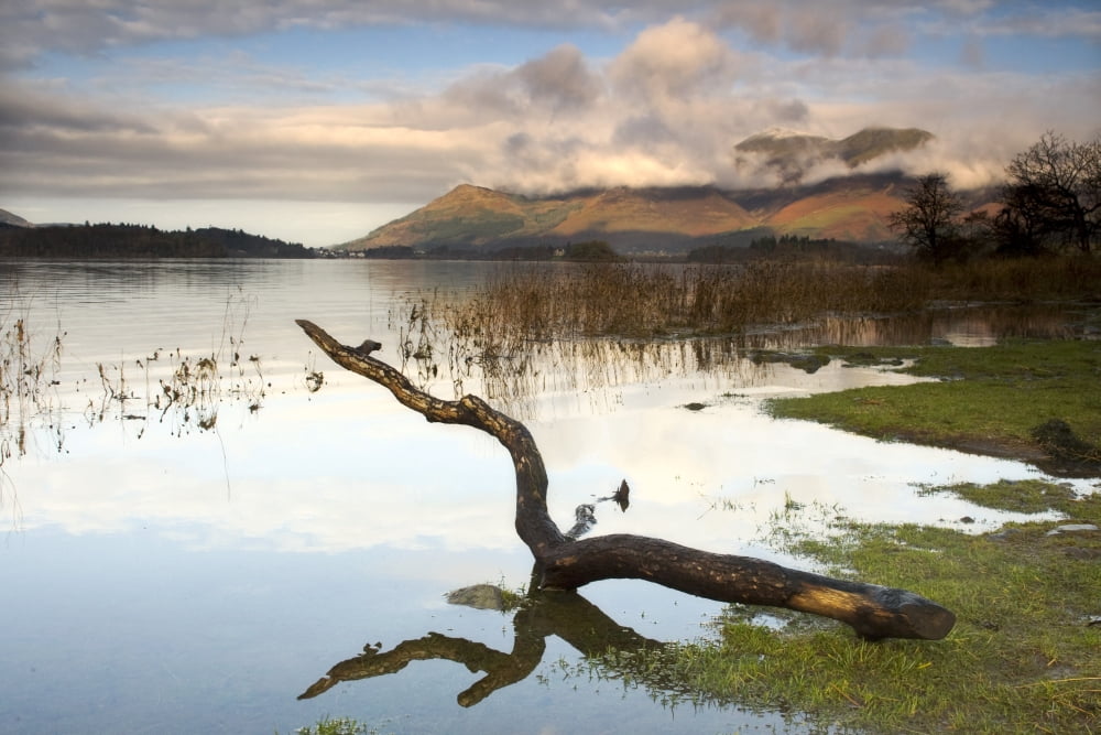 Lake Derwent Cumbria England Canvas Art - John Short Design Pics (17 x 11)
