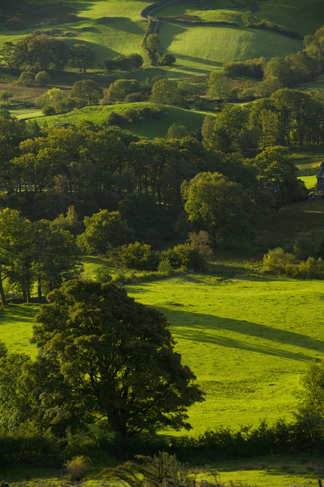 Lake District National Park Cumbria England Canvas Art - Ian Cumming Design Pics (12 x 19)