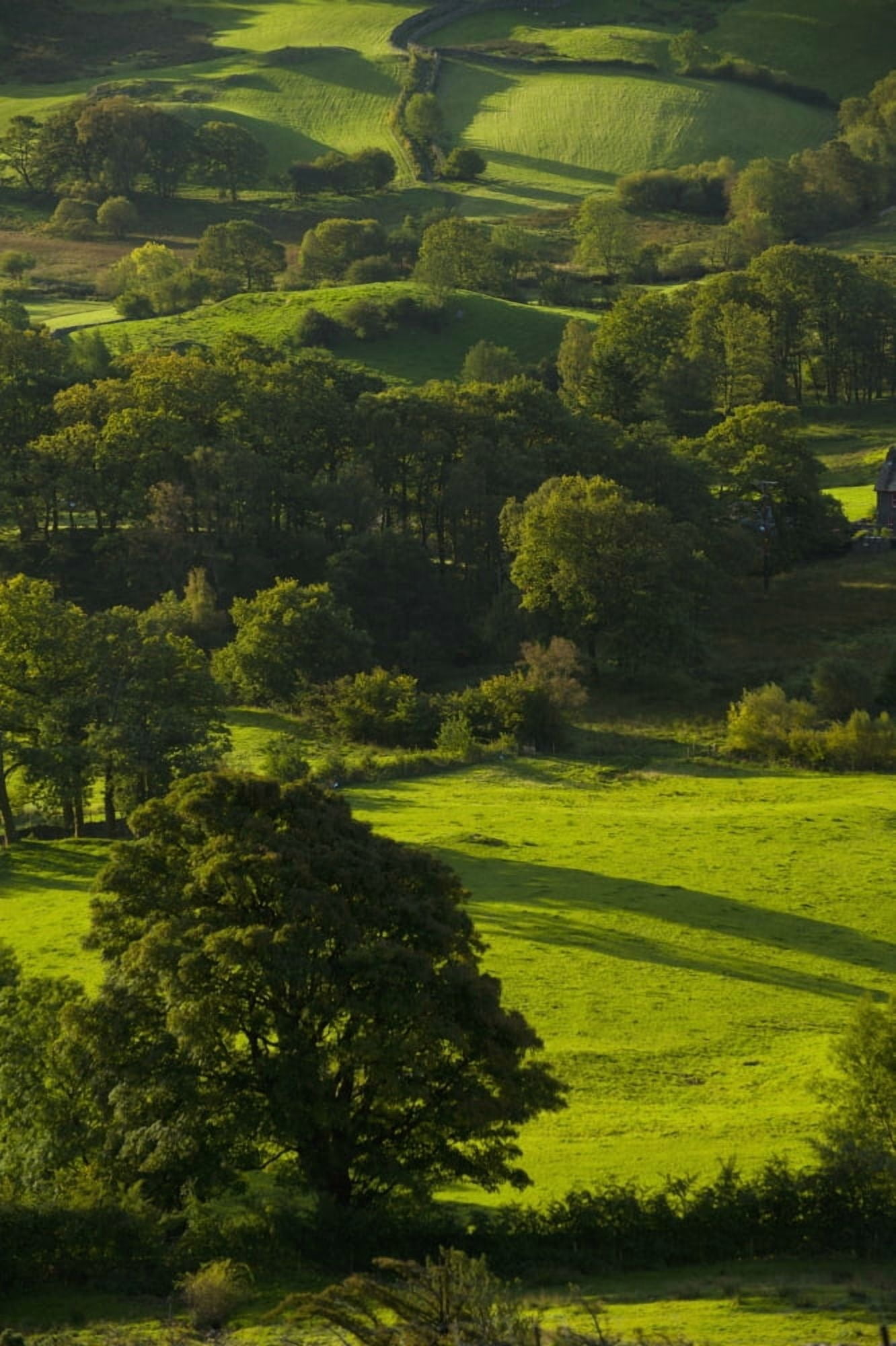 Lake District National Park Cumbria England Canvas Art - Ian Cumming Design Pics (24 x 38)
