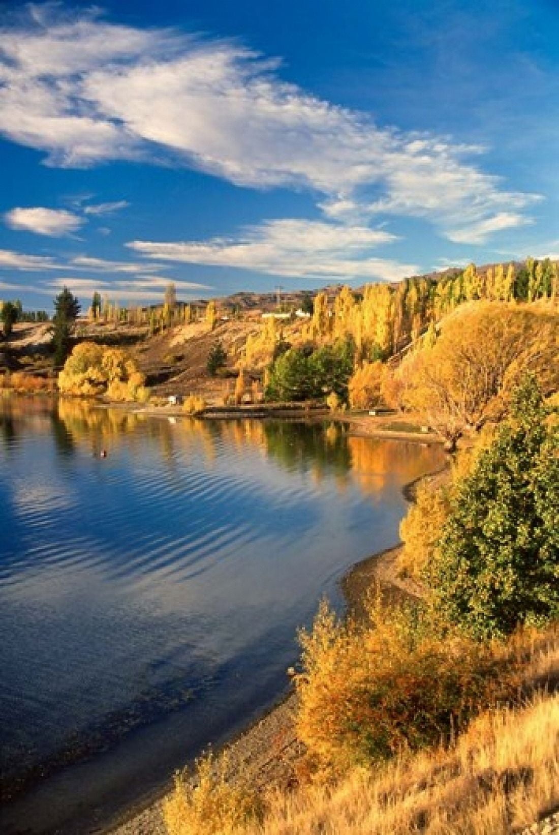 Lake Dunstan Central Otago New Zealand Canvas Art - David Wall DanitaDelimont (24 x 36)