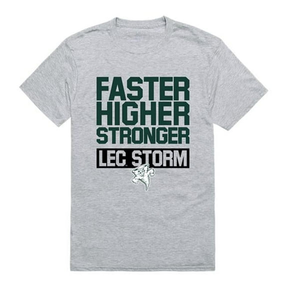 Lake Erie College Men Workout T-Shirt, Heather Grey - Medium