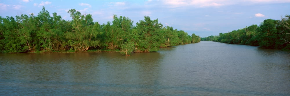 Lake Fausse Pointe State Park Louisiana Canvas Art - Panoramic Images (27 x 9)
