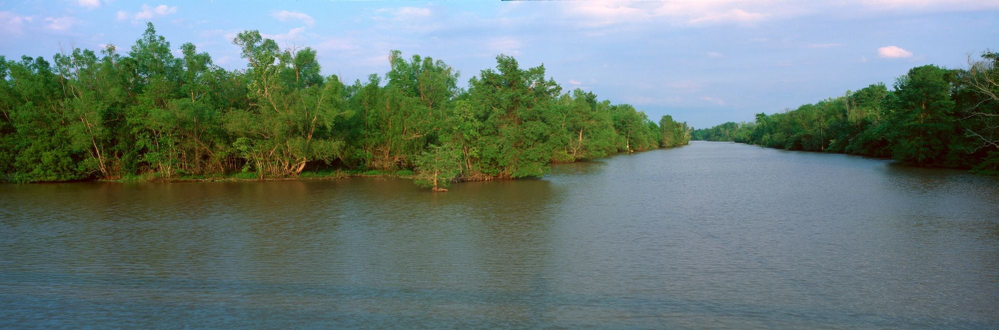 Lake Fausse Pointe State Park Louisiana Canvas Art - Panoramic Images (36 x 12)