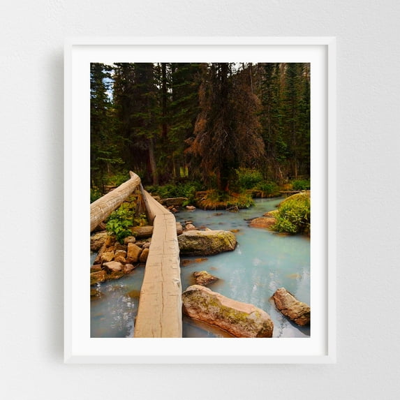 Lake Haiyaha Trail - Colorado Photography Forest Nature Landscape Bridge Wilderness Scenic Woodland White Framed Wall Art Print 8 x 10 inches
