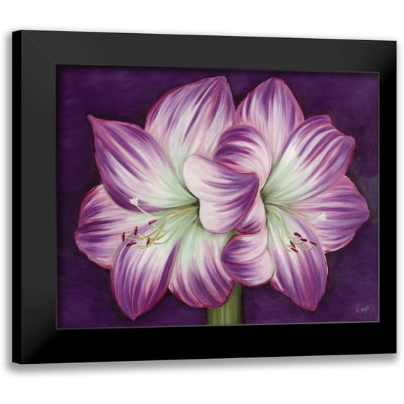 Lake, Kaye 24x20 Black Modern Framed Museum Art Print Titled - Purple Amaryllis