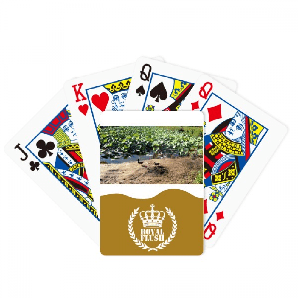 Lake Lotus Summer Art Deco Fashion Royal Flush Poker Playing Card Game