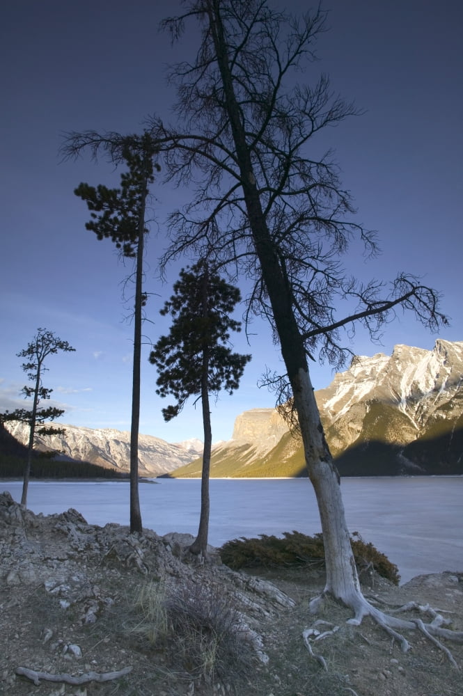Lake Minnewanka And Mt Inglismaldie Banff National Park Alberta Canada Canvas Art - Darwin Wiggett Design Pics (11 x 17)