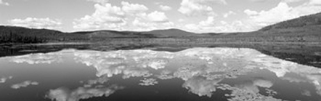 Lake Near Beaver Creek Yukon Territory Canada Canvas Art - Panoramic Images (36 x 12)