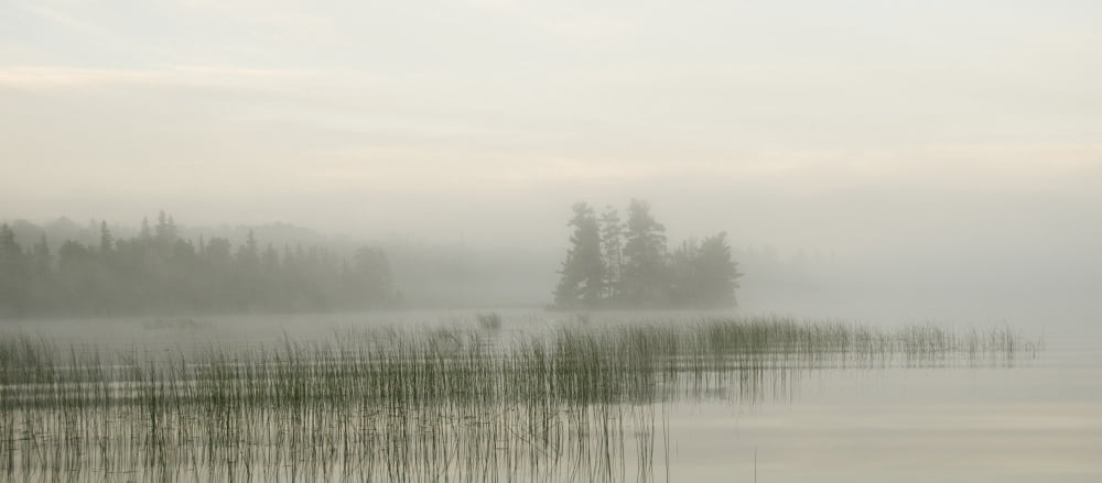 Lake Of The Woods Ontario Canada Canvas Art - Keith Levit Design Pics (22 x 9)