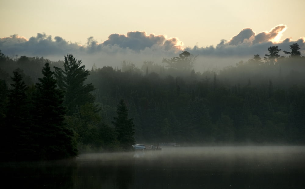 Lake Of The Woods Ontario Canada Canvas Art - Keith Levit Design Pics (36 x 22)