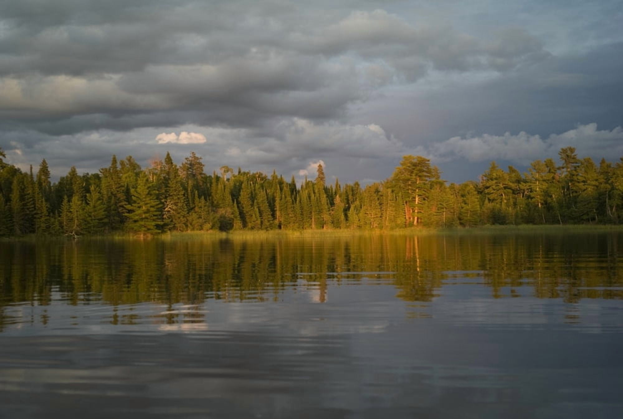 Lake Of The Woods Ontario Canada Canvas Art - Keith Levit  Design Pics (36 x 24)