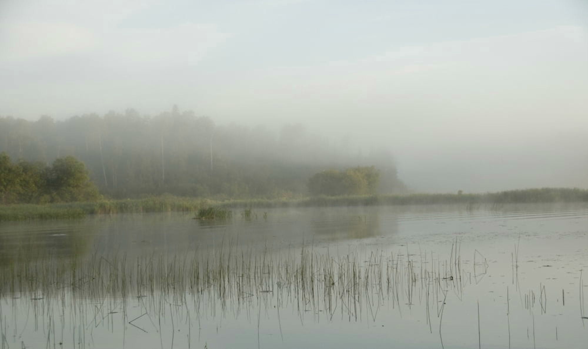 Lake Of The Woods Ontario Canada View Across Lake At Sunrise Canvas Art - Keith Levit Design Pics (19 x 11)