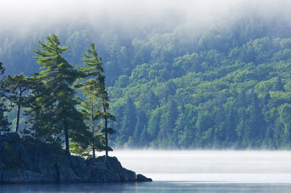 Lake Of Two Rivers In Fog Algonquin Provincial Park Ontario Canvas Art - Mike Grandmaison Design Pics (36 x 24)