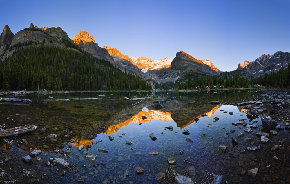 Lake Ohara And Mountains At Sunset Yoho National Park British Columbia Canvas Art - Yves Marcoux Design Pics (36 x 22)