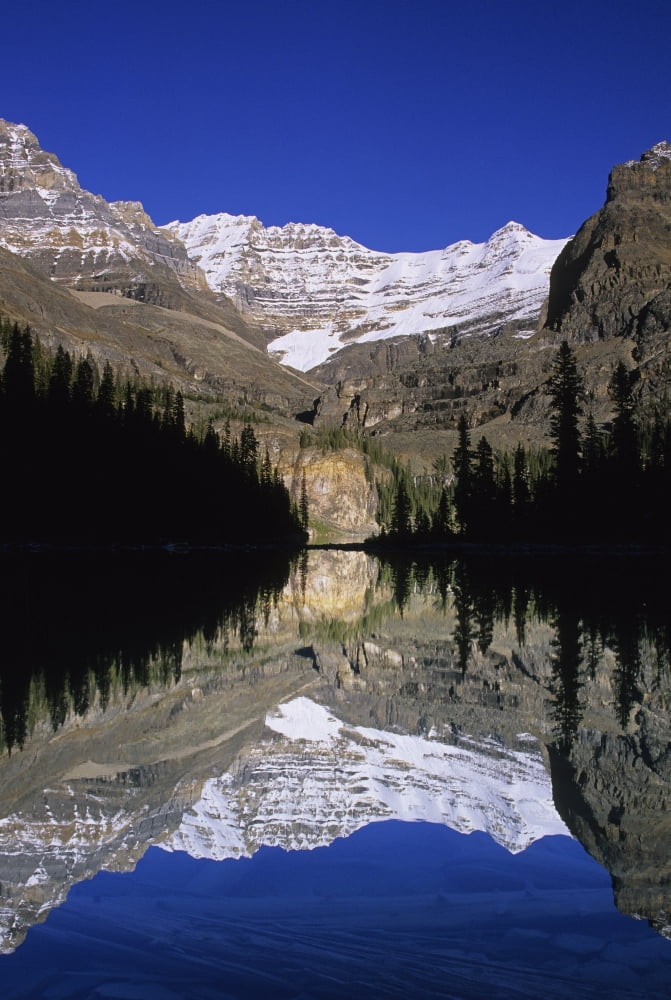 Lake Ohara Yoho National Park British Columbia Canvas Art - John Sylvester Design Pics (22 x 34)