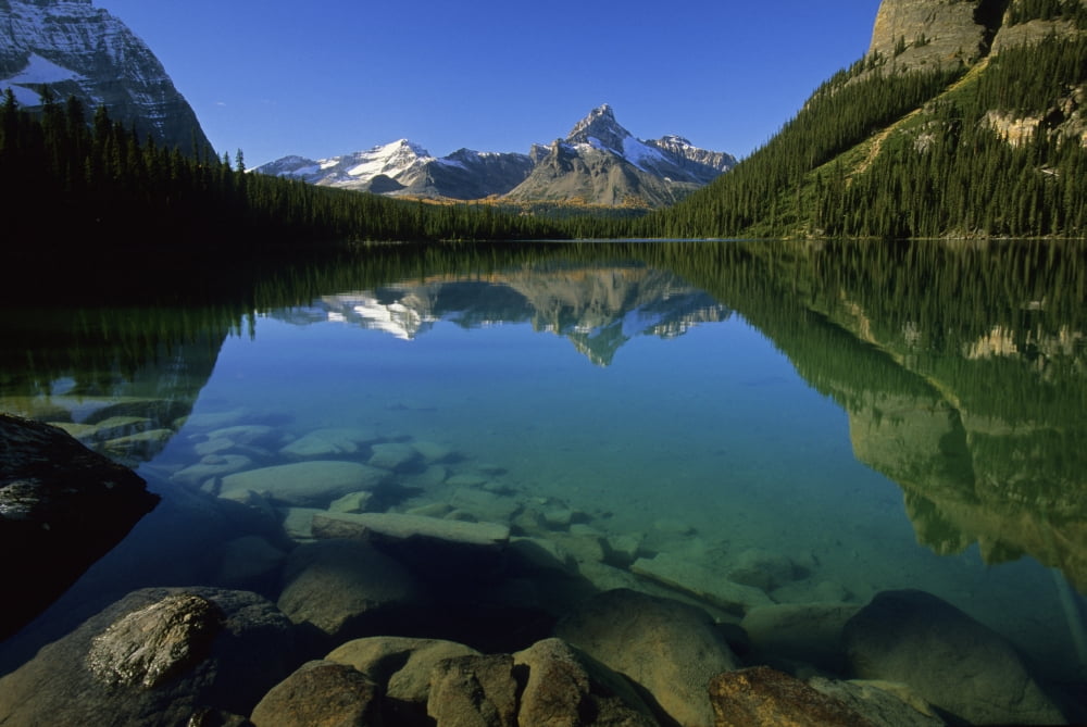 Lake Ohara Yoho National Park British Columbia Canvas Art - John Sylvester Design Pics (34 x 22)