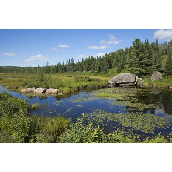 Lake Opeongo Algonquin Provincial Park Ontario Canada Canvas Art - Carl Bruemmer Design Pics (19 x 12)