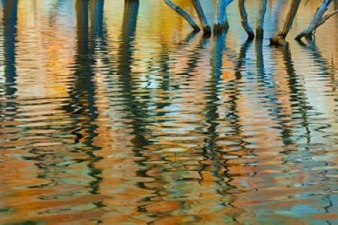 Lake Powell Reflections I Canvas Art - Kathy Mahan (24 x 36)
