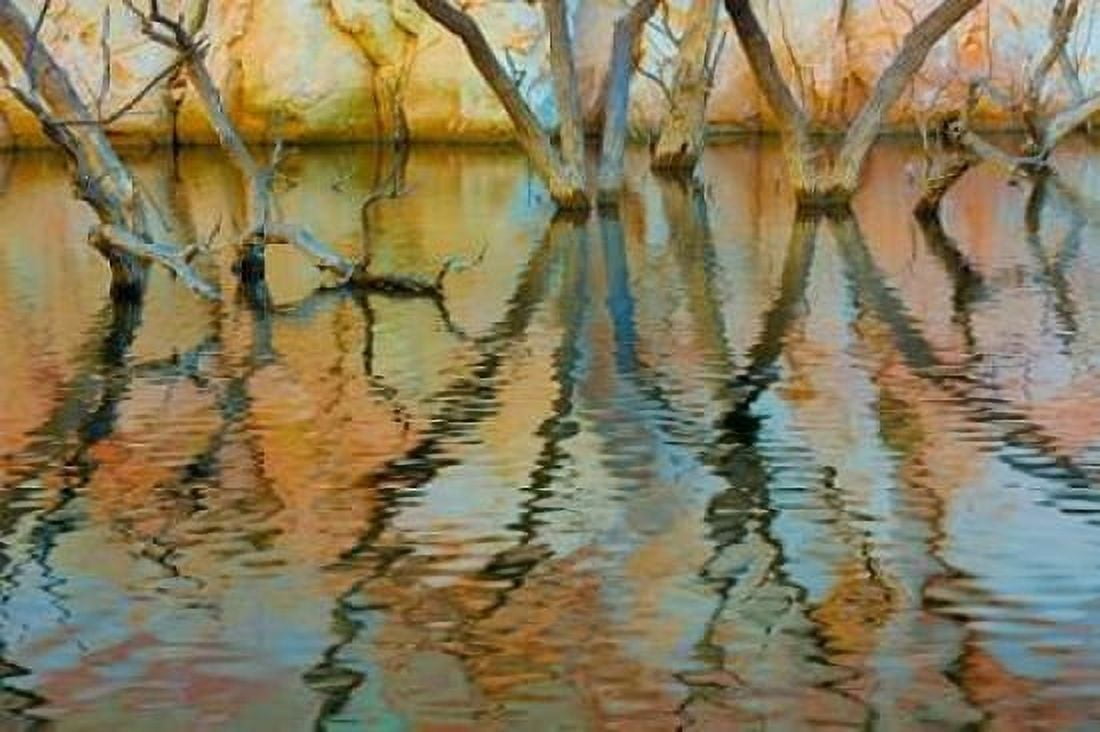 Lake Powell Reflections II Canvas Art - Kathy Mahan (24 x 36)