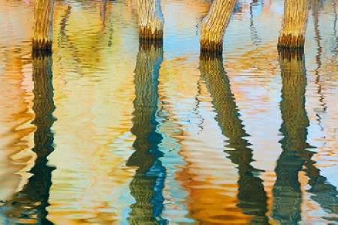 Lake Powell Reflections III Canvas Art - Kathy Mahan (24 x 36)
