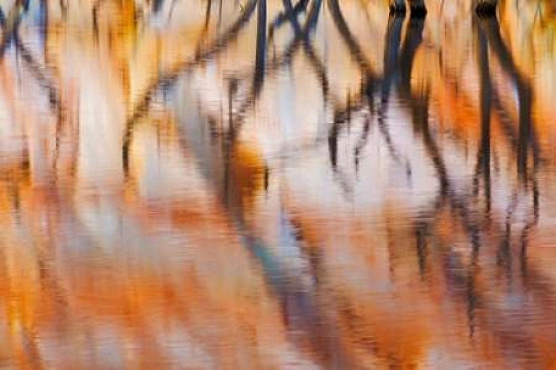 Lake Powell Reflections IV Canvas Art - Kathy Mahan (12 x 18)