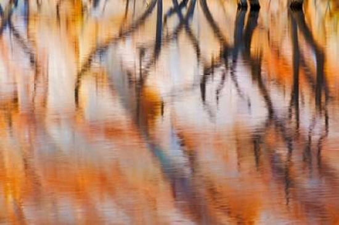 Lake Powell Reflections IV Canvas Art - Kathy Mahan (24 x 36)