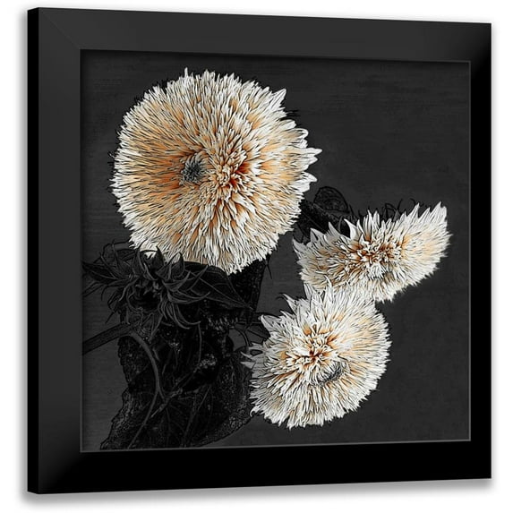 Lake, Shelley 12x12 Black Modern Framed Museum Art Print Titled - Sunflowers II