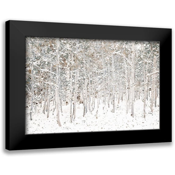 Lake, Shelley 14x11 Black Modern Framed Museum Art Print Titled - White Snow Wonderland