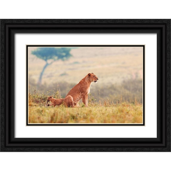 Lake, Shelley 14x11 Black Ornate Wood Framed with Double Matting Museum Art Print Titled - A Lions Tale
