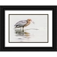 thumbnail image 1 of Lake, Shelley 24x18 Black Ornate Wood Framed with Double Matting Museum Art Print Titled - Reddish Egret, 1 of 4