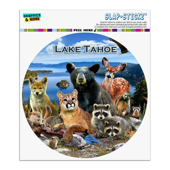 Lake Tahoe California CA Nevada NV Animals Bear Cougar Deer Automotive Car Window Locker Circle Bumper Sticker