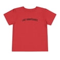 thumbnail image 1 of Lake Winnipesaukee Toddler Shirt Gifts Boy Girl Size 2T-5T, 1 of 4