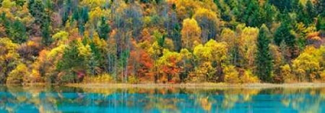 Lake and forest in autumn China Canvas Art - Frank Krahmer (10 x 20)